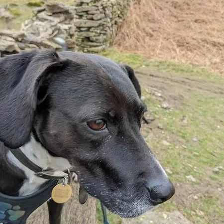 Clover - Delightful 1-bed In The Heart Of Dom wakacyjny *